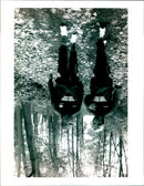 - Vintage Photograph