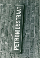 - Vintage Photograph