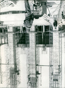 - Vintage Photograph