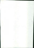 - Vintage Photograph