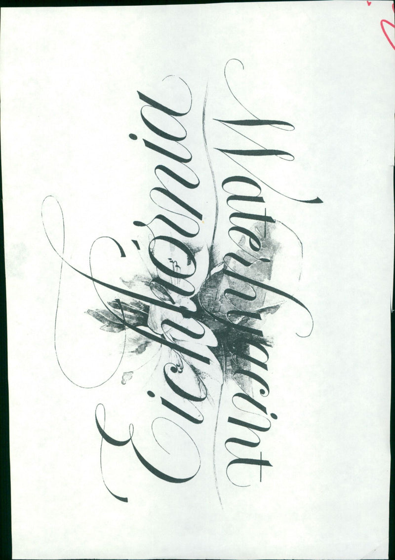 - Vintage Photograph