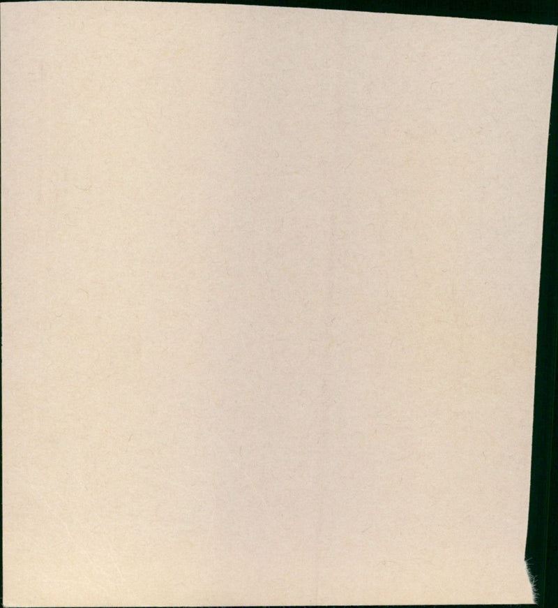 - Vintage Photograph