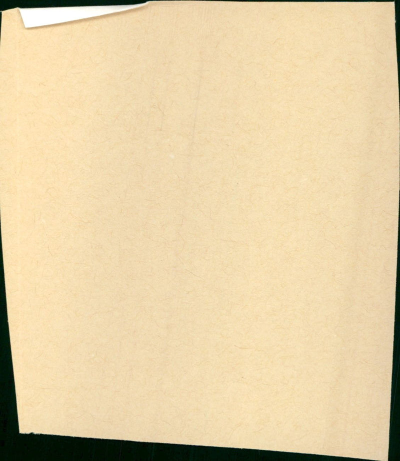 - Vintage Photograph