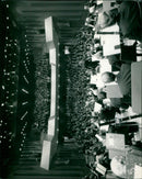 - Vintage Photograph