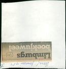 - Vintage Photograph