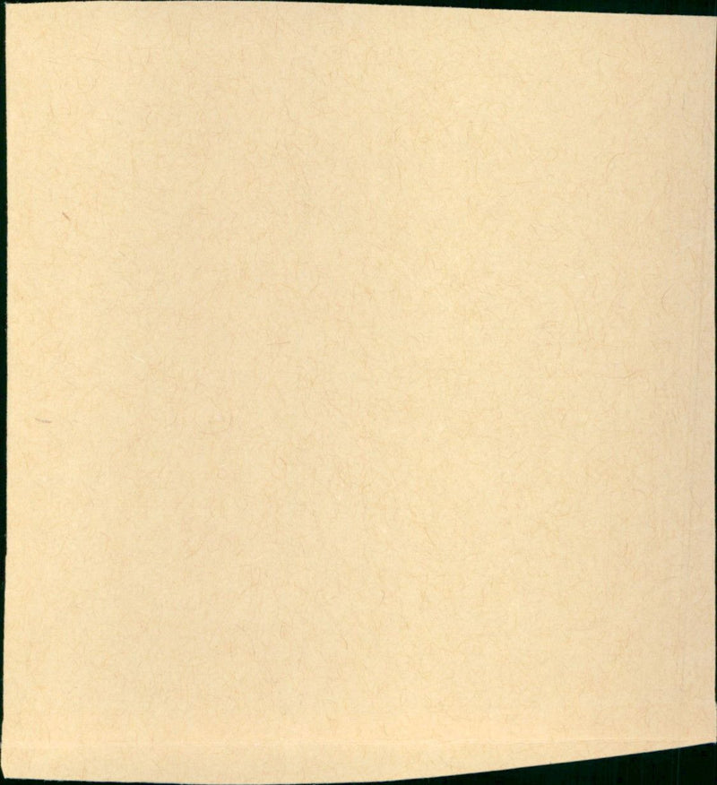 - Vintage Photograph