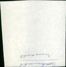 - Vintage Photograph