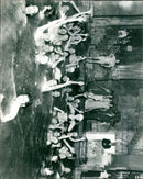 - Vintage Photograph