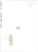 - Vintage Photograph