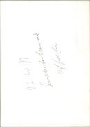 - Vintage Photograph