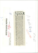 - Vintage Photograph