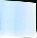 - Vintage Photograph