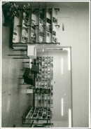 - Vintage Photograph