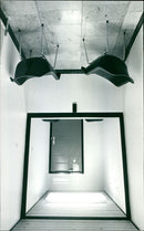 - Vintage Photograph