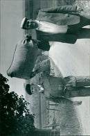 - Vintage Photograph