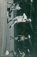 - Vintage Photograph