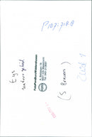 - Vintage Photograph