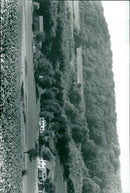 - Vintage Photograph