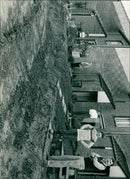 - Vintage Photograph