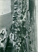 - Vintage Photograph