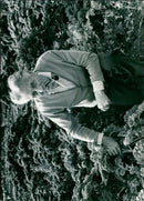 - Vintage Photograph