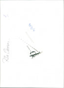 - Vintage Photograph