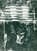 - Vintage Photograph