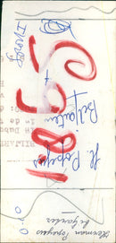 - Vintage Photograph