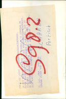 - Vintage Photograph