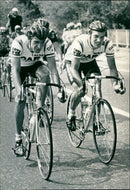 - Vintage Photograph