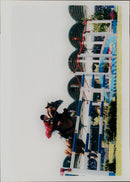 - Vintage Photograph