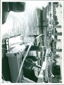 - Vintage Photograph