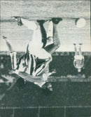 - Vintage Photograph