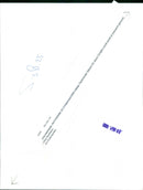 - Vintage Photograph