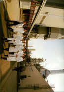 - Vintage Photograph