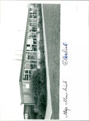 - Vintage Photograph