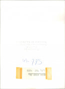 - Vintage Photograph