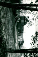 - Vintage Photograph