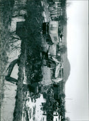 - Vintage Photograph