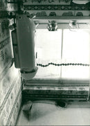 - Vintage Photograph