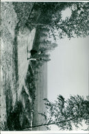 - Vintage Photograph