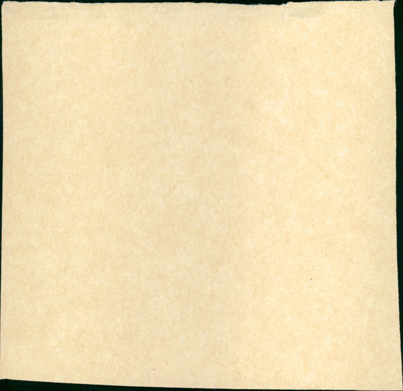 The Shadow Box - Vintage Photograph