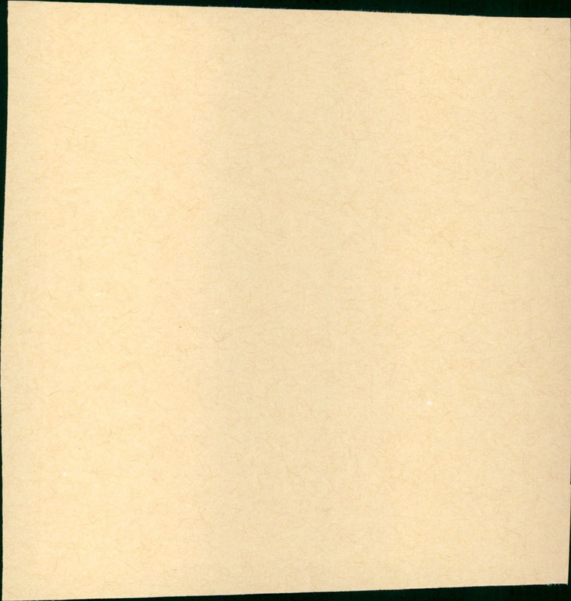 The 7th Voyage of Sinbad - Vintage Photograph