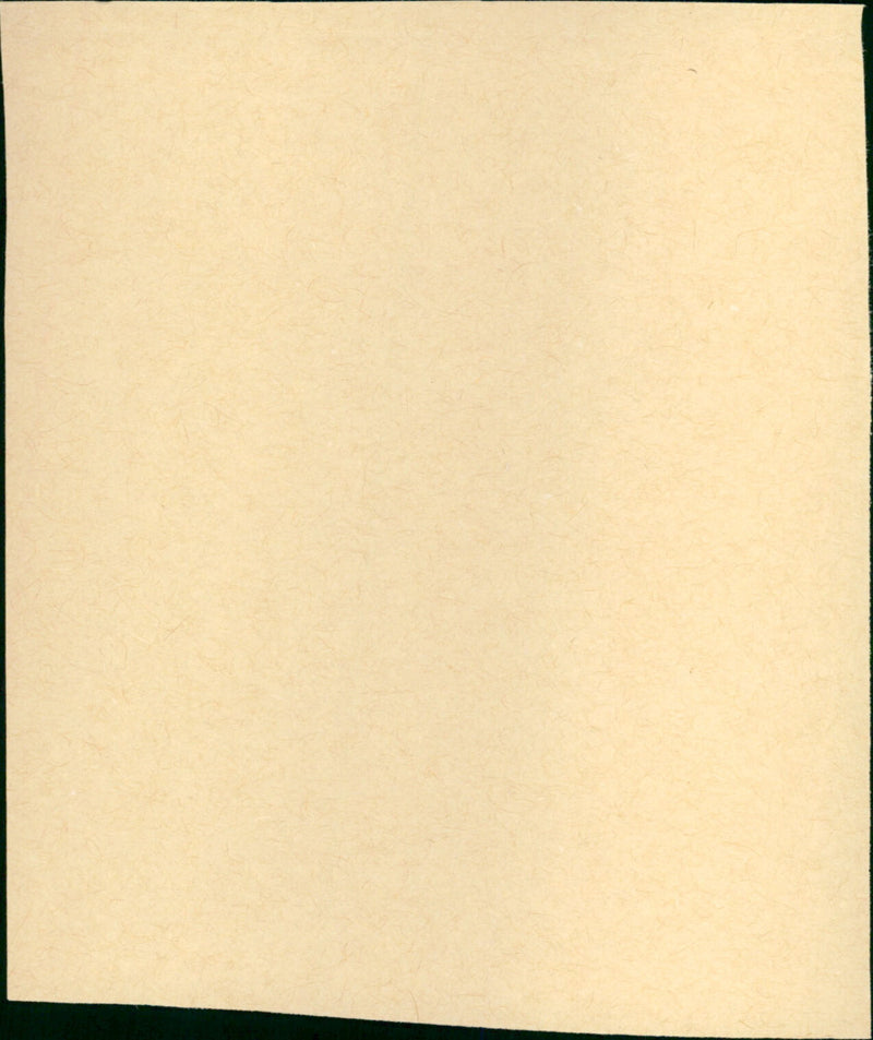 Seven Hills of Rome (Arriverderci Roma) - Vintage Photograph