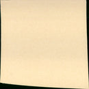 Pretty in Pink - Vintage Photograph