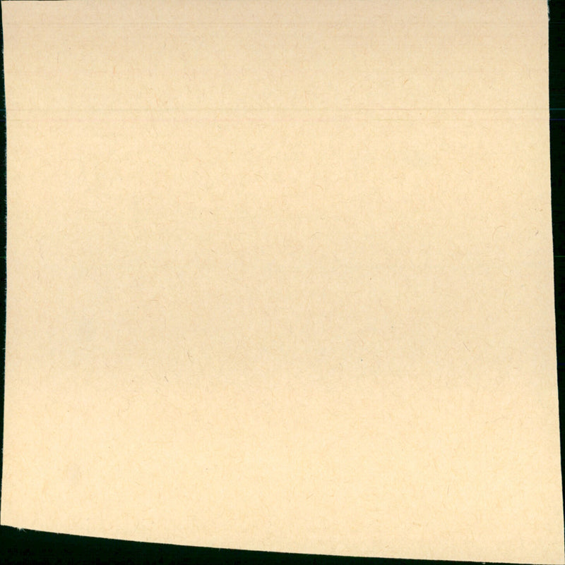 Pretty in Pink - Vintage Photograph