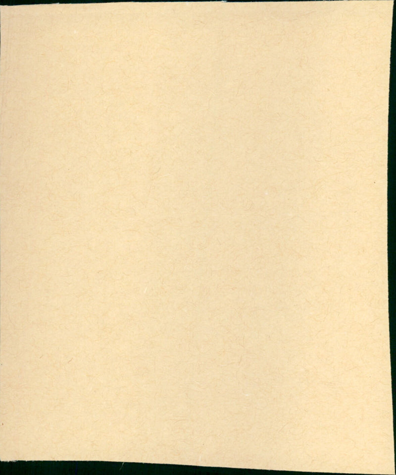 Seven Chances - Vintage Photograph