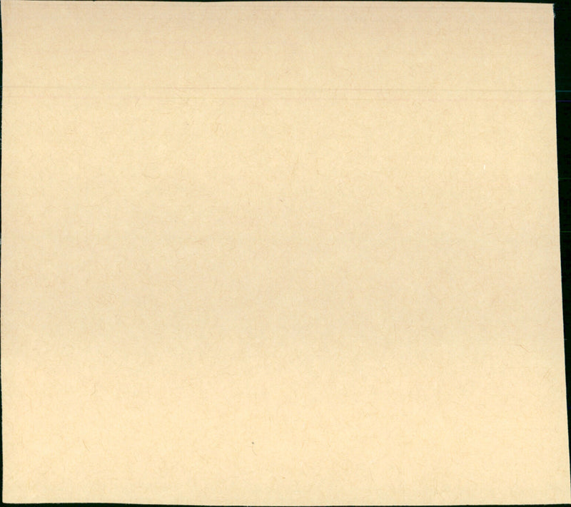 Pretty Maids All in a Row - Vintage Photograph