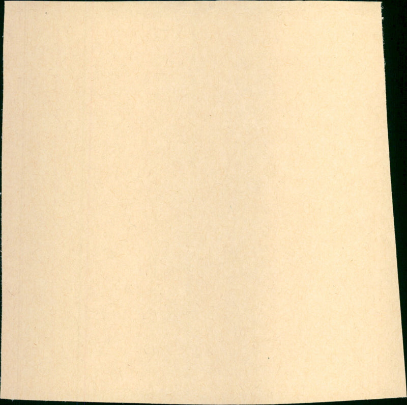 Ming Jian - Vintage Photograph