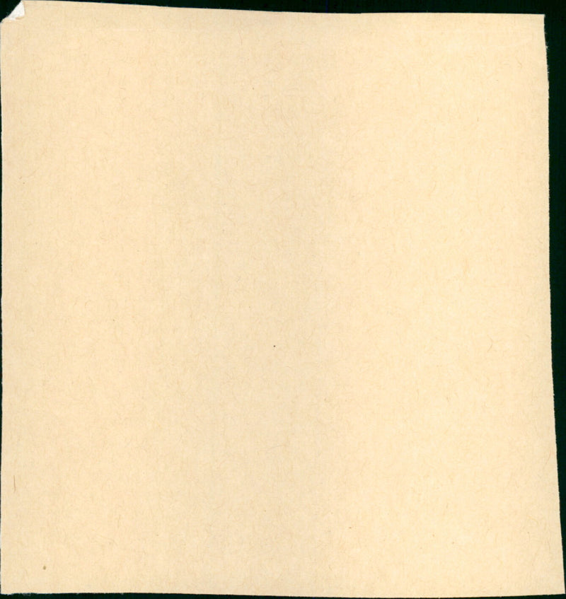 The Seven Year Itch - Vintage Photograph